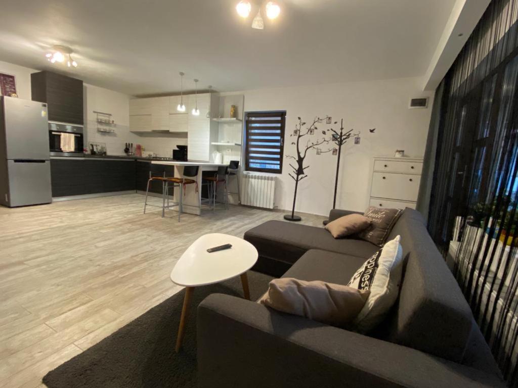 Вилла Casa Lucas Куртя-де-Арджеш Экстерьер фото